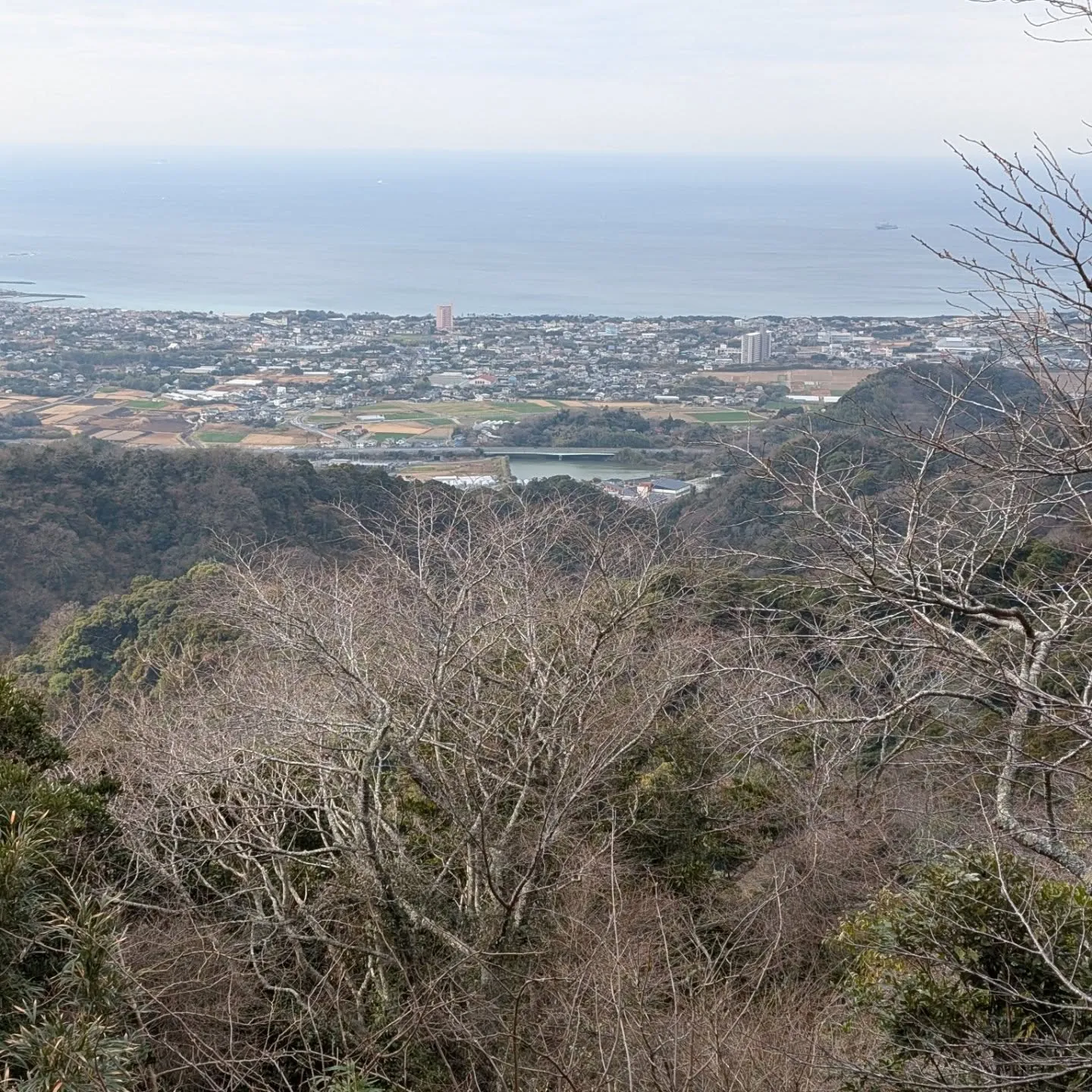 富山（とみさん）にバギーで👀