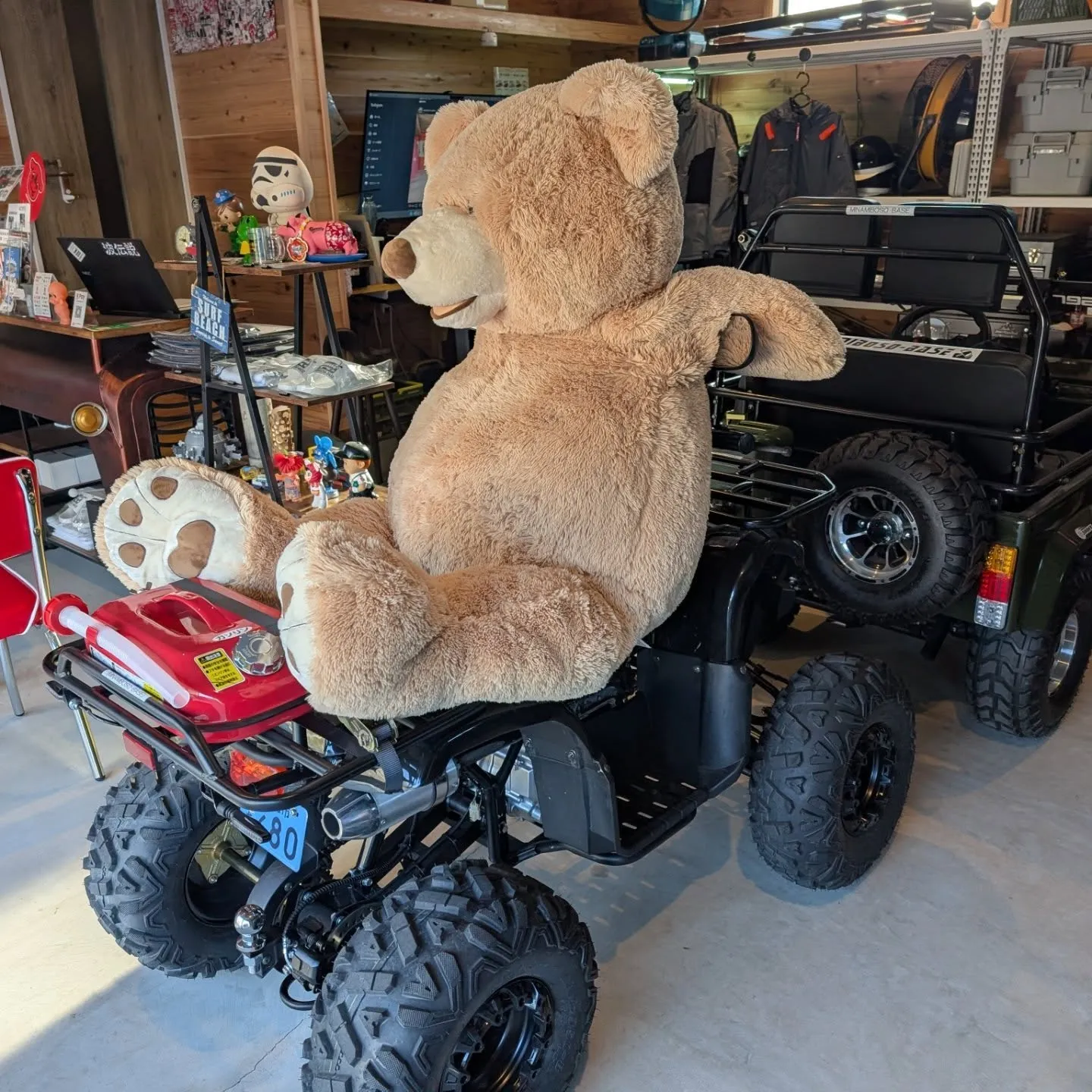 今日は寒すぎる、南房総じゃなくて北房総(¯―¯٥)