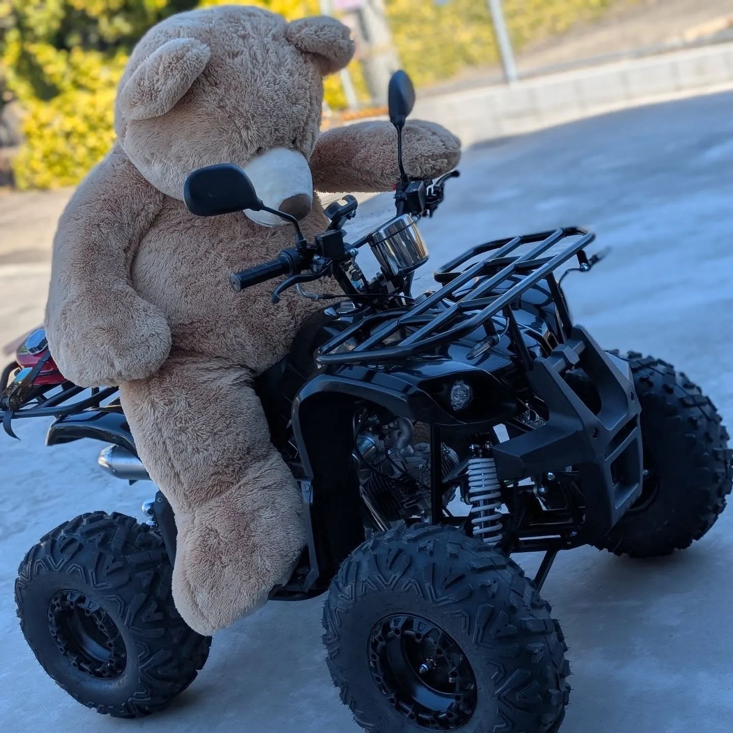 副店長クマ吉さんはバギーがお好き👀