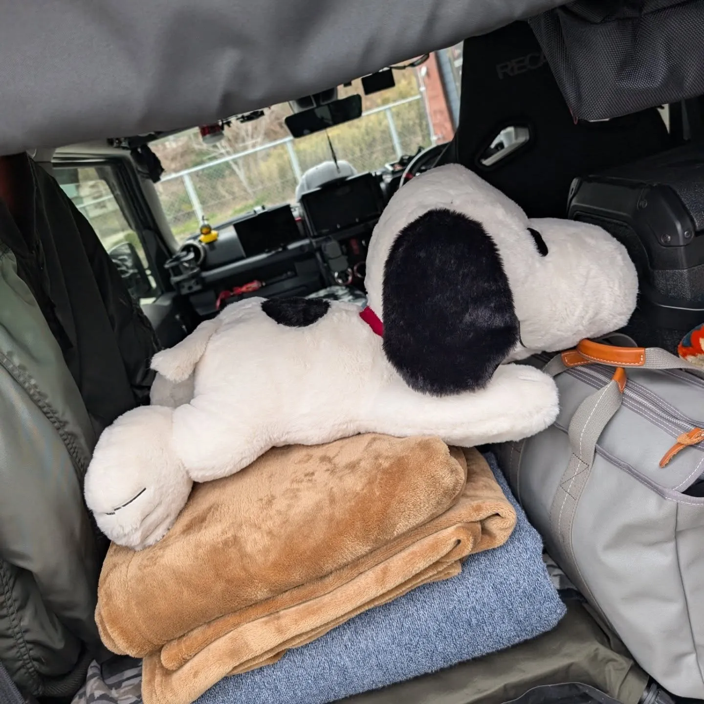 風が強い(¯―¯٥)