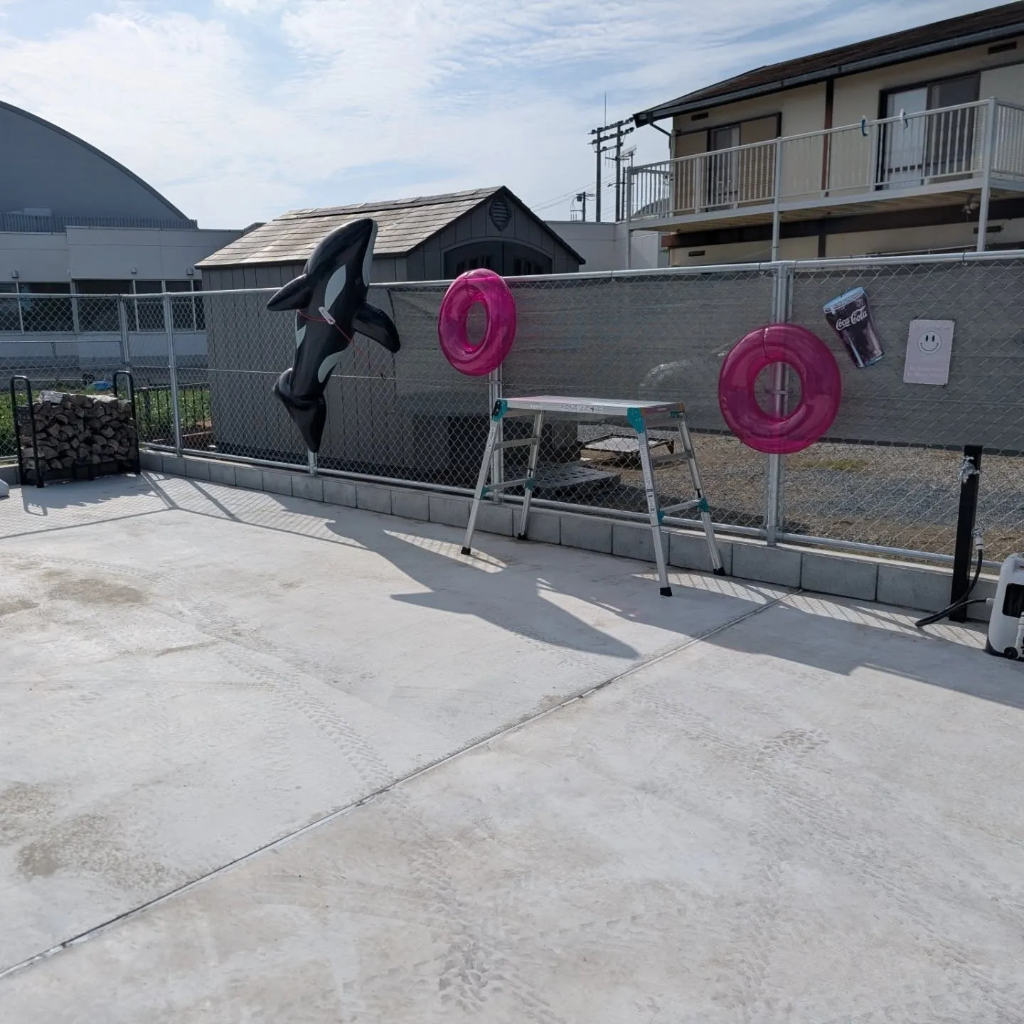 シャチライド♪