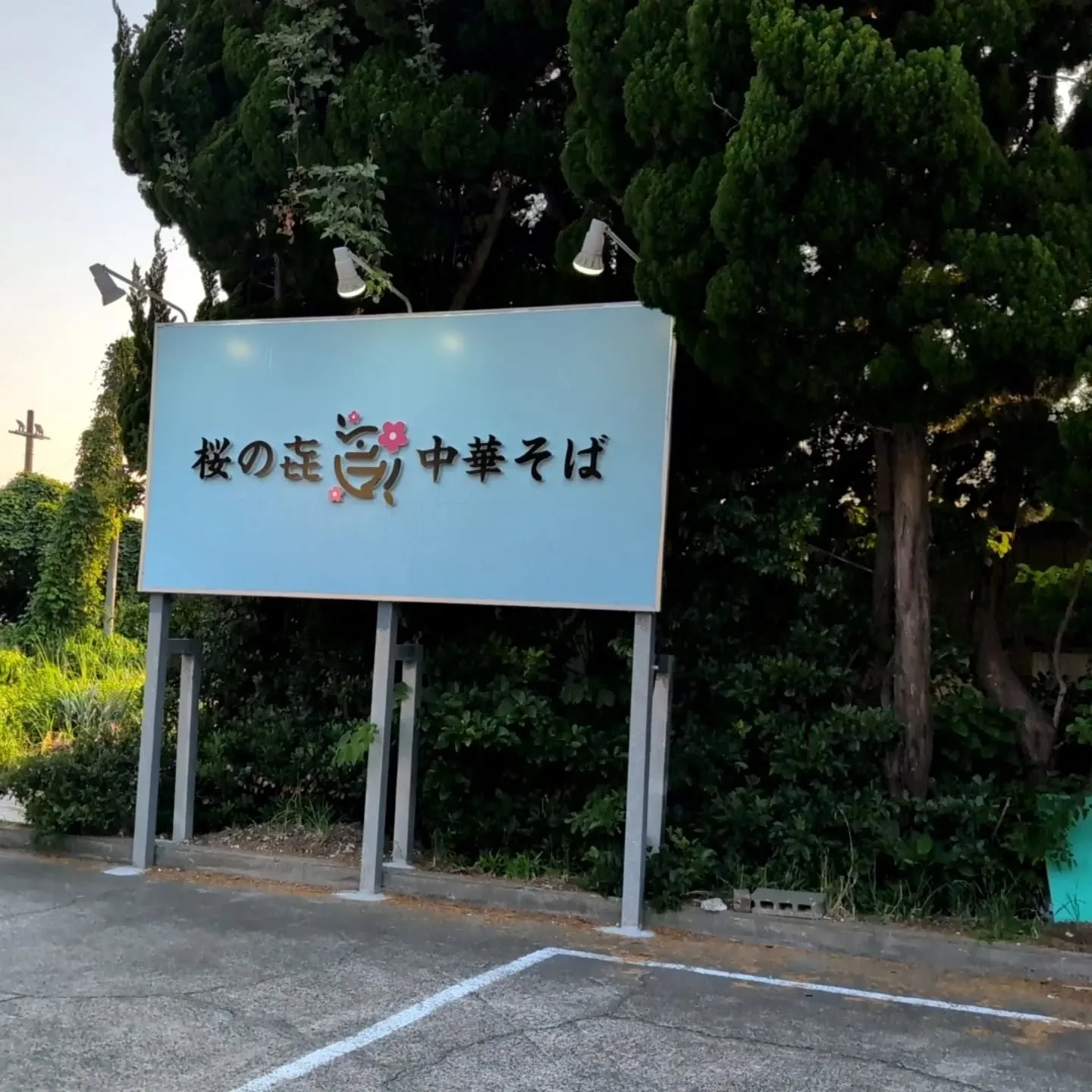 鋸南　桜の𛀣さんに行ってました。