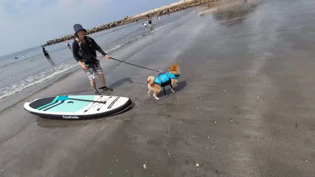 YOUTUBE まさとコテツ　さん